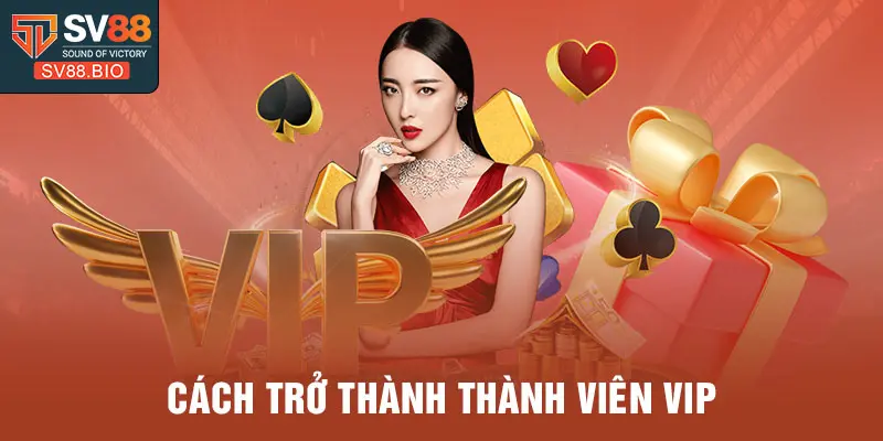 Cách trở thành thành viên VIP